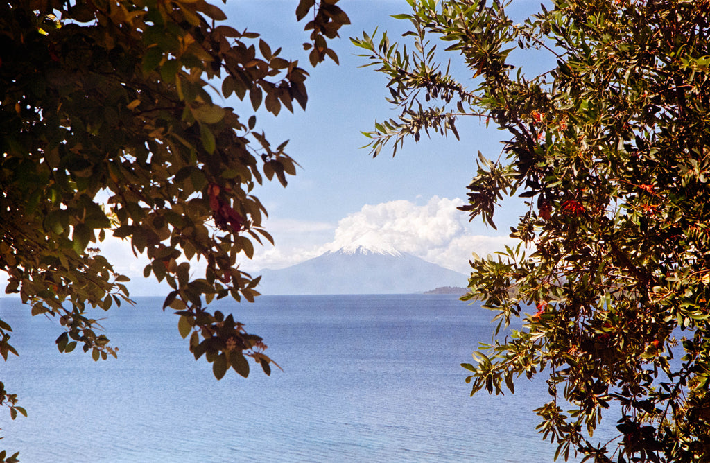 Fujifilm 200