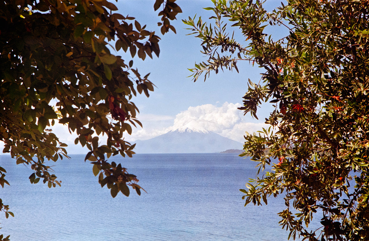 Fujifilm 200